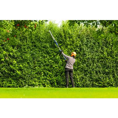Eine Person in Schutzausrüstung schneidet eine hohe Hecke in einem üppigen Garten, umgeben von grünem Gras und Bäumen.