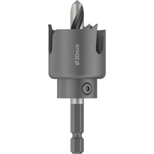 Bosch Accessories 2608594491 2608594491 Lochsäge 30 mm 1 St.