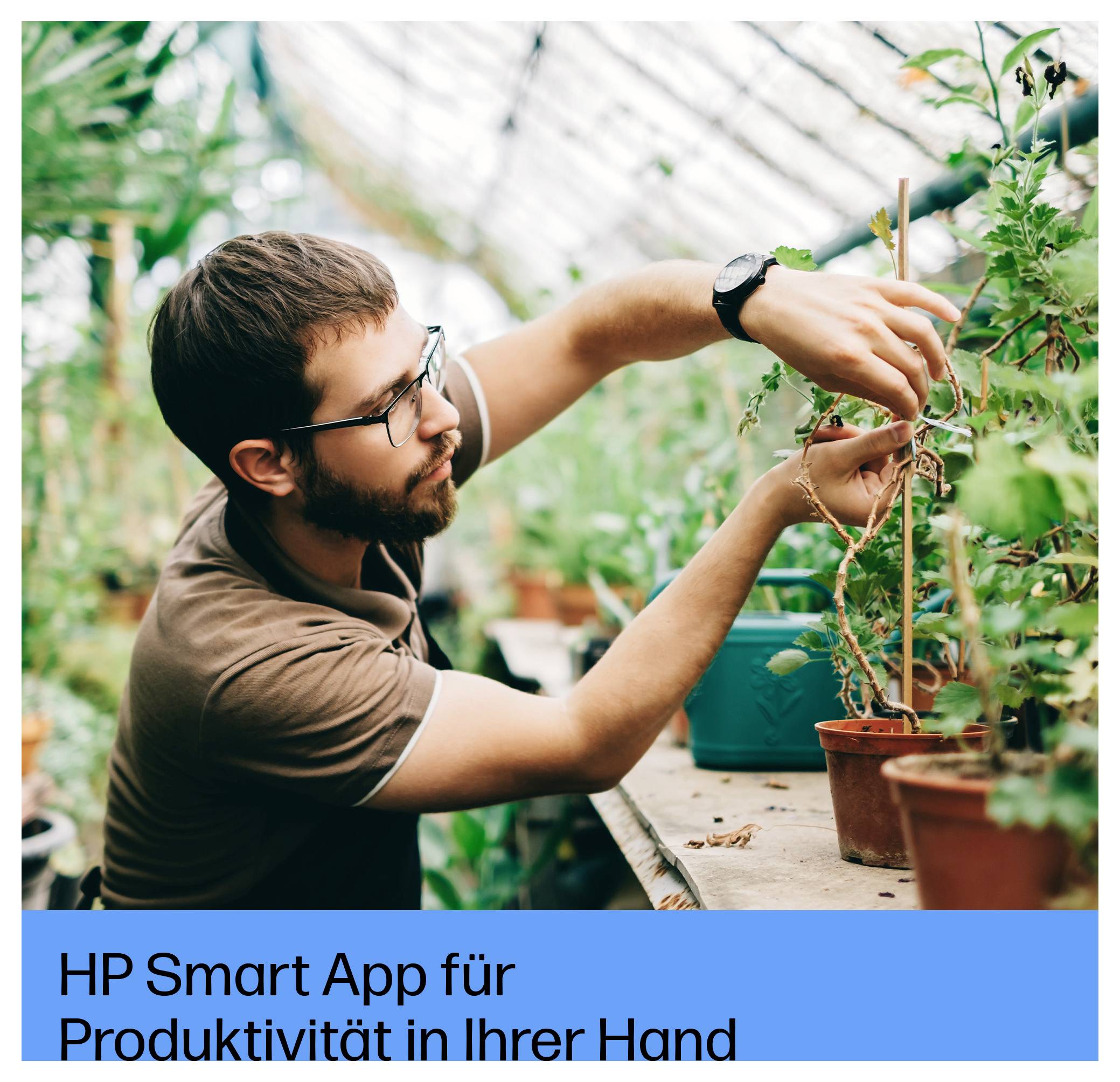 Ein Mann kümmert sich um eine Topfpflanze in einem Gewächshaus; das Bannertextfeld lautet „HP Smart App für Produktivität in Ihrer Hand".