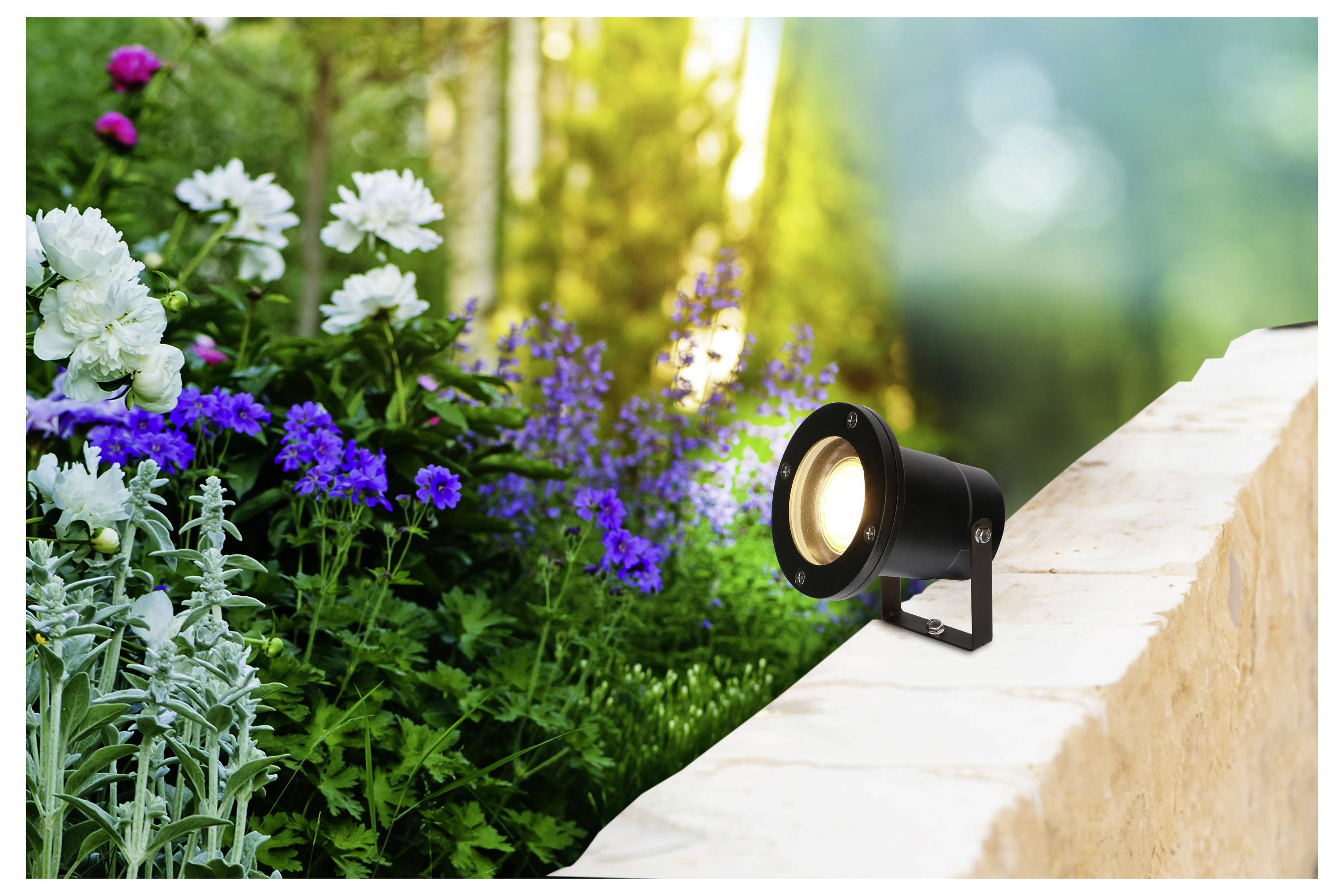 Ein Gartenweg, der von einem Scheinwerfer beleuchtet wird, umgeben von üppigem grünem Laub und farbenfrohen Blüten, einschließlich blauer und weißer Blüten.