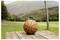 Basketball mit einer kleinen Kamera auf der Oberseite montiert, auf einem Holztisch im Freien mit Bergen und Grün im Hintergrund.