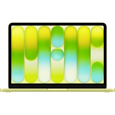 Ein Laptop mit einem geometrischen, farbenfrohen Bildschirmschoner, der sich wiederholende, längliche Ovale in Gelb-, Grün- und Blautönen zeigt.