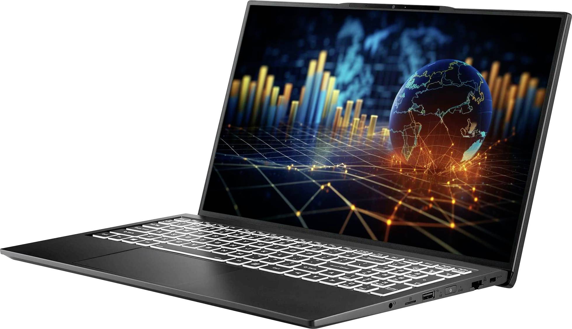 Ein Laptop, auf dem ein digitales Erdmodell mit umgebenden Balkendiagrammen und Gitterlinien angezeigt wird, symbolisiert Technologie und Datenanalyse.