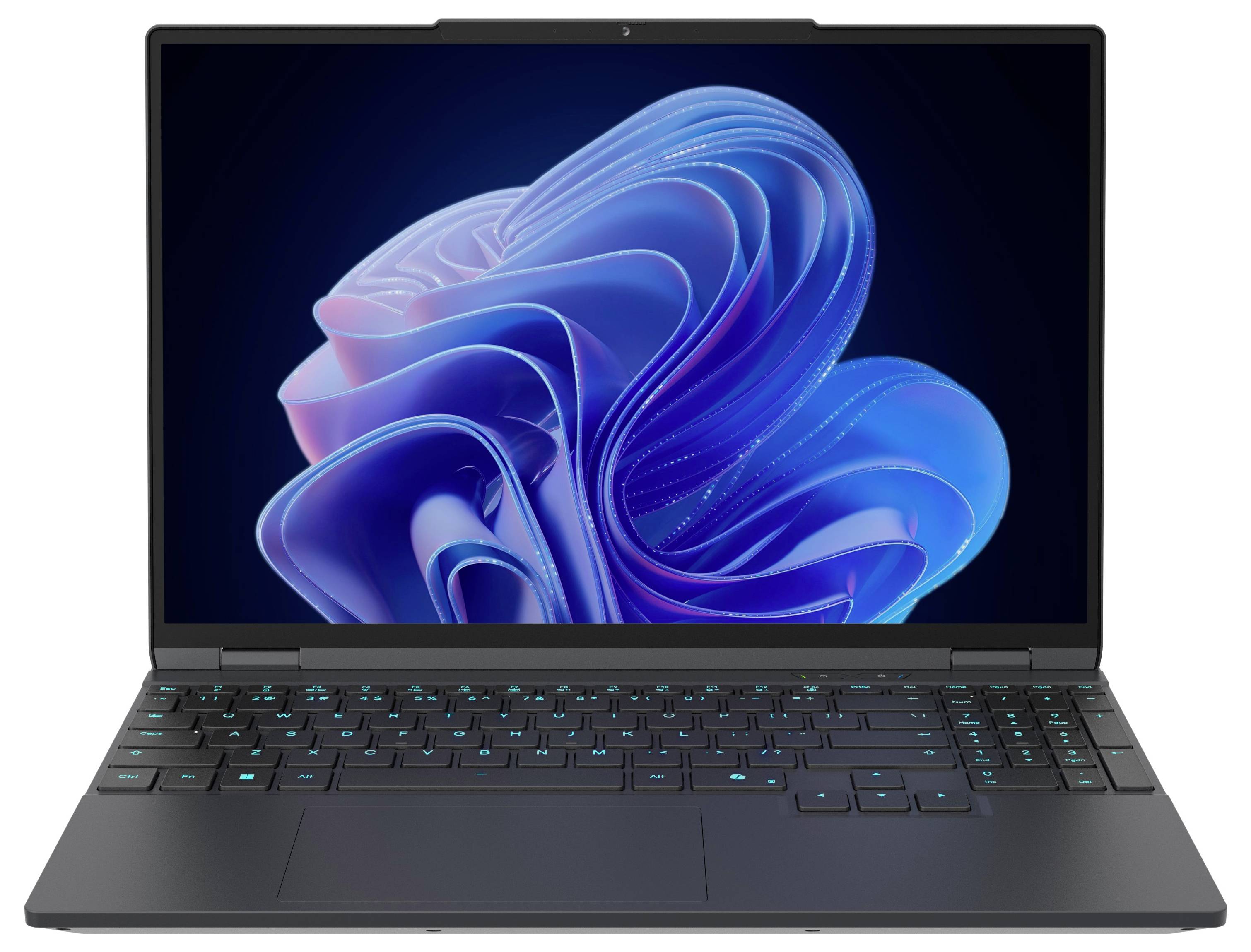 Captiva Gaming Notebook Advanced Gaming I94-415GE 38.9 cm (15.3 Zoll) WQXGA 255 32 GB RAM 1 TB SSD Deutsch, QWERTZ AMD R-8