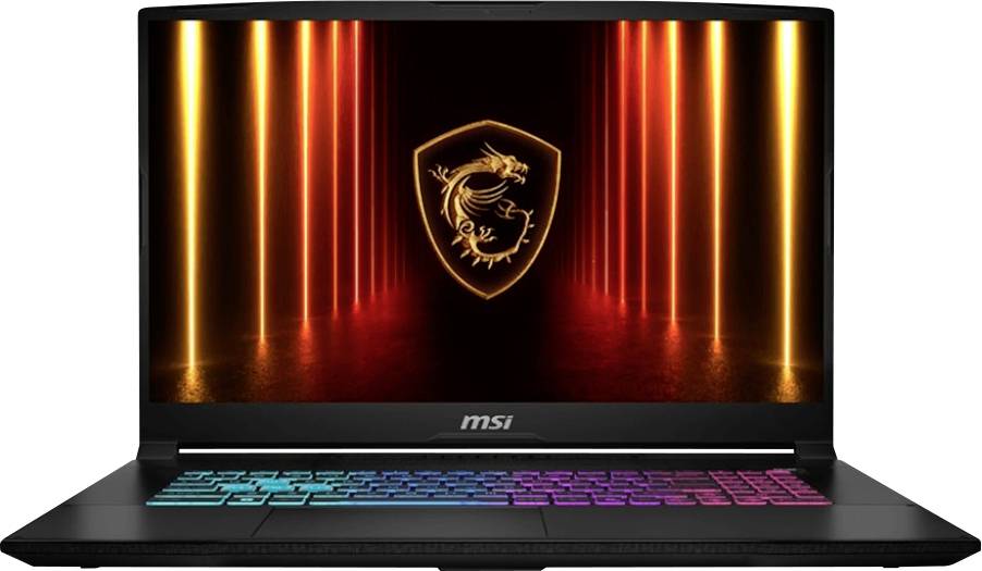 MSI Gaming Notebook Katana 17 HX B14WFK-239 43.9 cm (17.3 Zoll) Full HD Intel® Core™ i7 i7-14650HX 16 GB RAM 1 TB SSD De