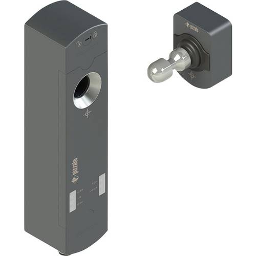 Sicherheitsschalter NS D4AZ1SMK-F41 Pizzato Elettrica Betriebsspannung: 24 V/DC (B x H x T) 40 x 174 x 46.5 mm 1 St.