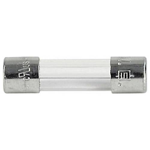 Schurter 0034.3105 G-Sicherungseinsatz 0.036 A Inhalt 1 St.