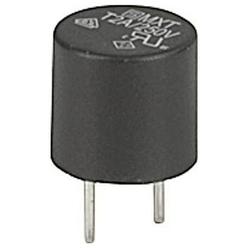 Schurter 0034.6914 Kleinstsicherung 0.8 A 1 St.