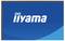 Monitorbildschirm, auf dem das „iiyama"-Logo auf blauem Hintergrund angezeigt wird.