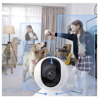 Eine intelligente Haushaltkamera überwacht einen Raum. Ein Mädchen spielt mit einem Golden Retriever und wirft einen Ball. Die Bewegungsverfolgungsfunktion der Kamera wird hervorgehoben.