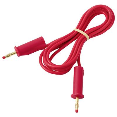 Rotes isoliertes Elektroprüfkabel mit Bananensteckern an beiden Enden, aufgerollt und gebunden auf weißem Hintergrund.