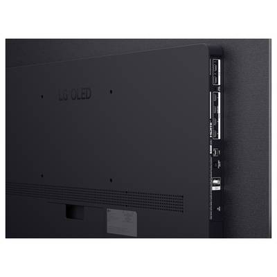 Rückansicht eines LG OLED-Fernsehers mit Rückplatte, Belüftungsschlitzen, Befestigungspunkten und seitlichen Anschlüssen.