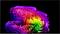 Abstrakte farbenfrohe 3D-bandähnliche Wirbel auf schwarzem Hintergrund, mit geschichteten Regenbogenverläufen, die eine Blumen- oder Spiralform bilden.