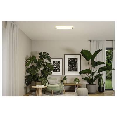 Modernes Wohnzimmer mit hellgrünem Sessel und Holzbank, große Topfpflanzen, gerahmte Wandkunst, Vorhänge und Gartenblick durch die Glastür.