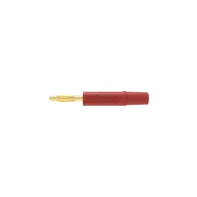 Roter isolierter Elektrostecker mit transparentem goldenem Stift auf weißem Hintergrund.
