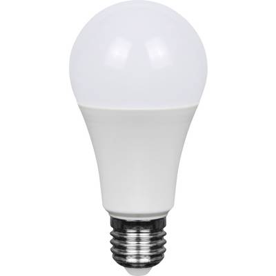 Eine weiße LED-Glühbirne mit metallischer Schraubfassung auf einfachem Hintergrund.
