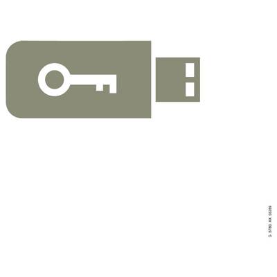 Schlüsselsymbol, das einen USB-Sicherheitsschlüssel oder ein Authentifizierungsgerät anzeigt