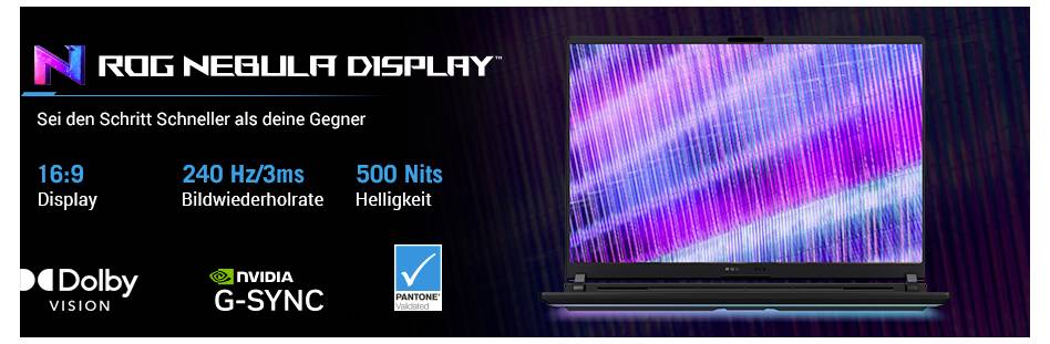 Asus Notebook 40.6 cm (16 Zoll) WQXGA 255HX 16 GB RAM 1 TB SSD Deutsch, QWERTZ Intel Intel-Grafik NVIDIA GeForce RTX 507-8