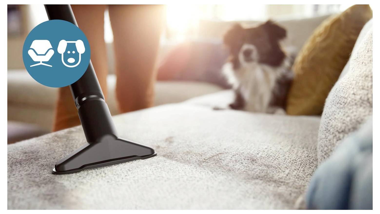 Staubsaugerbürste auf einer Couch beim Reinigen, mit einem Hund im Hintergrund und einem Polstermöbel-Symbol-Overlay.