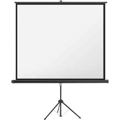 Tragbare Projektionsleinwand auf einem Stativständer, heruntergerollt und bereit für Präsentationen oder zum Anschauen.