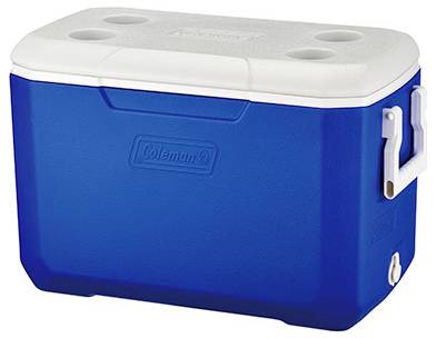 Blauer Coleman-Kühlbox mit weißem Deckel und Seitengriff auf einfachem Hintergrund