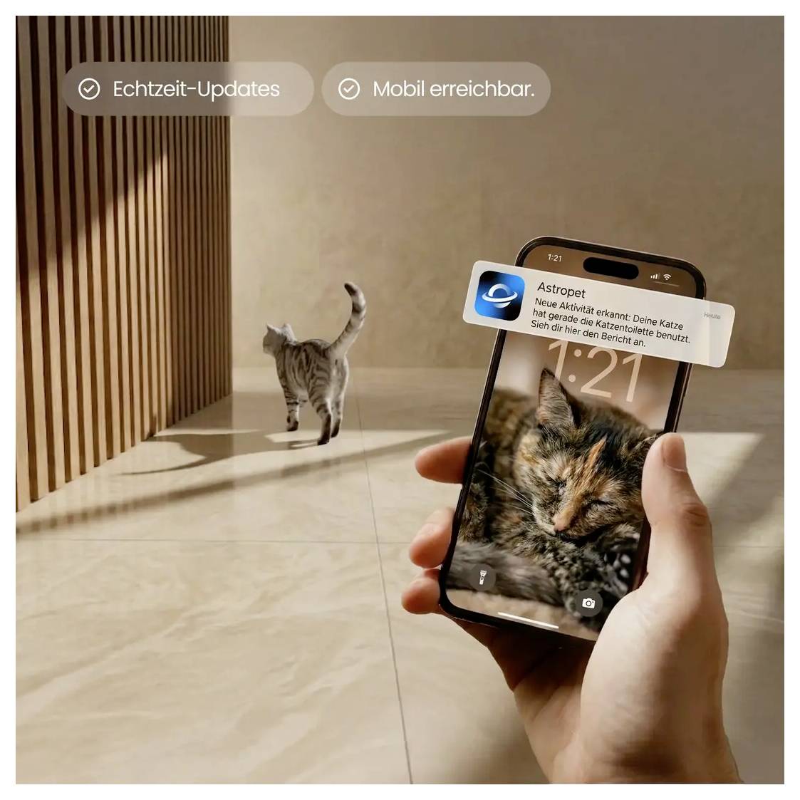 Eine Hand hält ein Smartphone, das ein Katzenfoto und eine Astropet-Benachrichtigung zeigt; eine Katze ist im Raum zu sehen, die herumläuft.