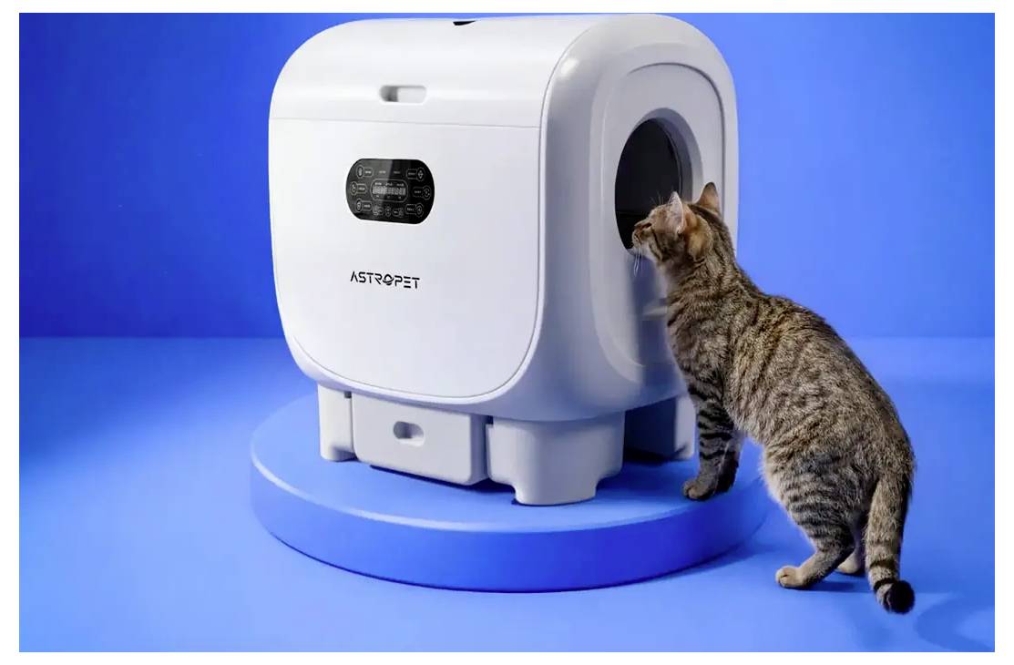 Getigerte Katze schnüffelt an einer weißen AstroPet automatischen Katzentoilette auf blauem Hintergrund.