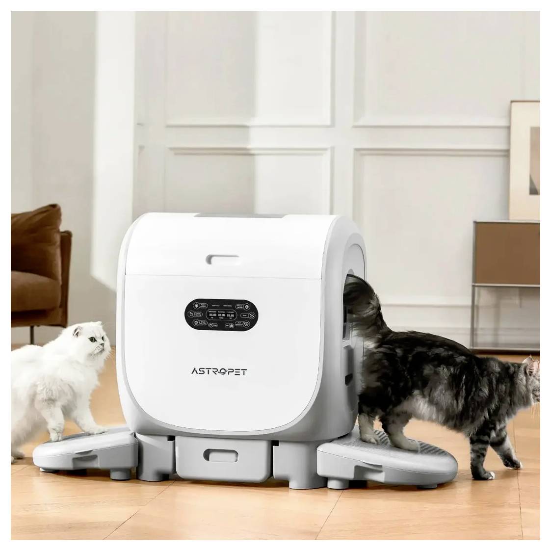 Weißer AstroPet automatischer Futterautomat für Haustiere mit drei Futternäpfen, mit zwei Katzen, die ihn in einem Wohnzimmer benutzen.