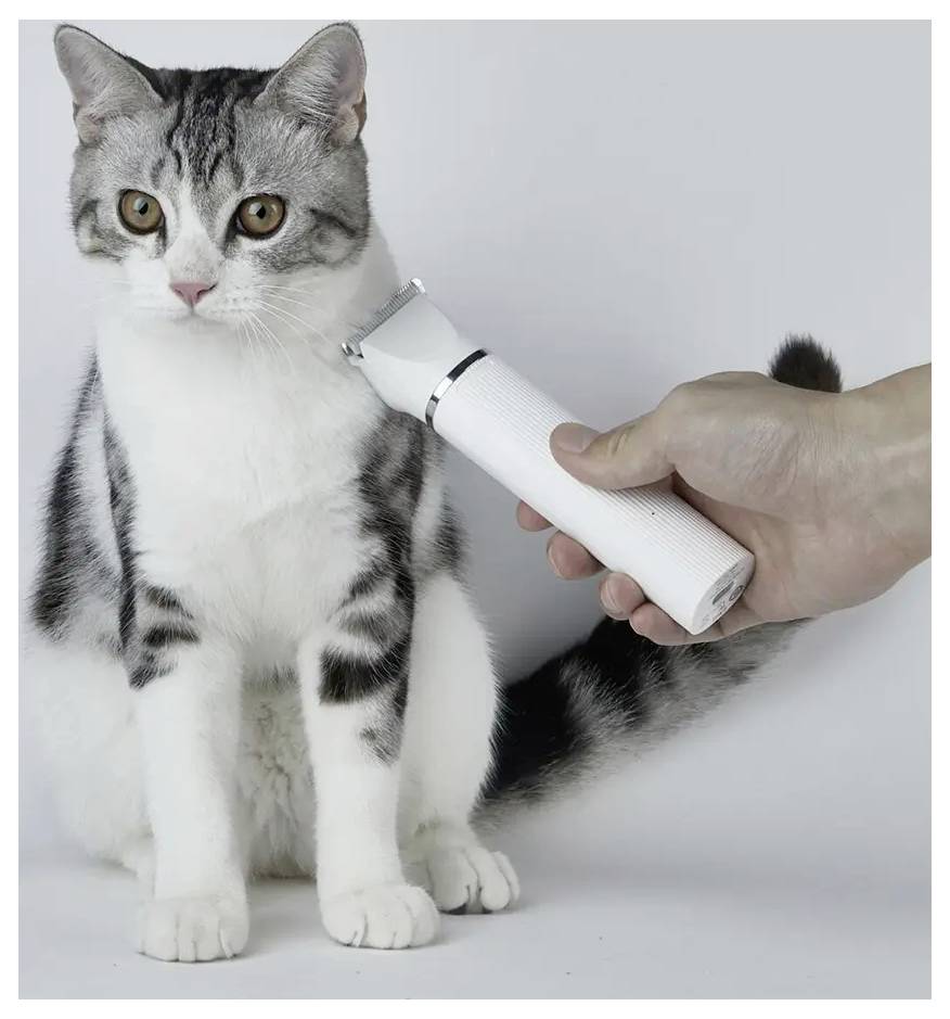 Hand mit elektrischem Haustiertrimmer zum Trimmen einer sitzenden grau-weißen Katze auf neutralem Hintergrund.