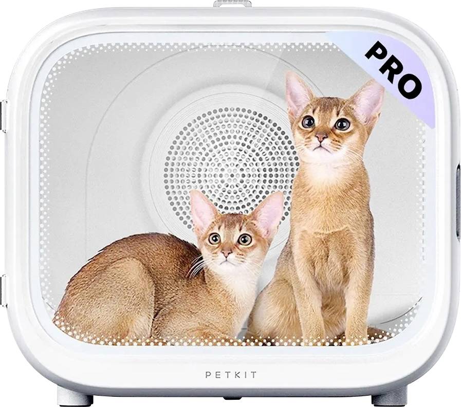 Zwei Kätzchen in einer weißen intelligenten PETKIT-Tierbox, gekennzeichnet mit „PRO".