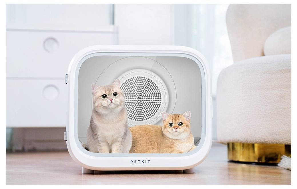 Zwei Katzen sitzen in einer weißen PETKIT-Haustrocknungsbox, werden wahrscheinlich nach einem Bad getrocknet, in einem hellen Wohnungsinterieur.