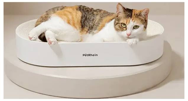 PetRhein PetRhein Kratzpappe Zen Paw weiß Kratzpappe Weiß, Beige 1 St.-3