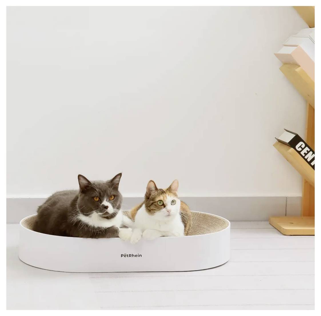 Zwei Katzen, eine grau und eine weiß-orange, liegen zusammen in einem weißen Katzenbett auf einem hellen Boden neben einem Kratzbaum.