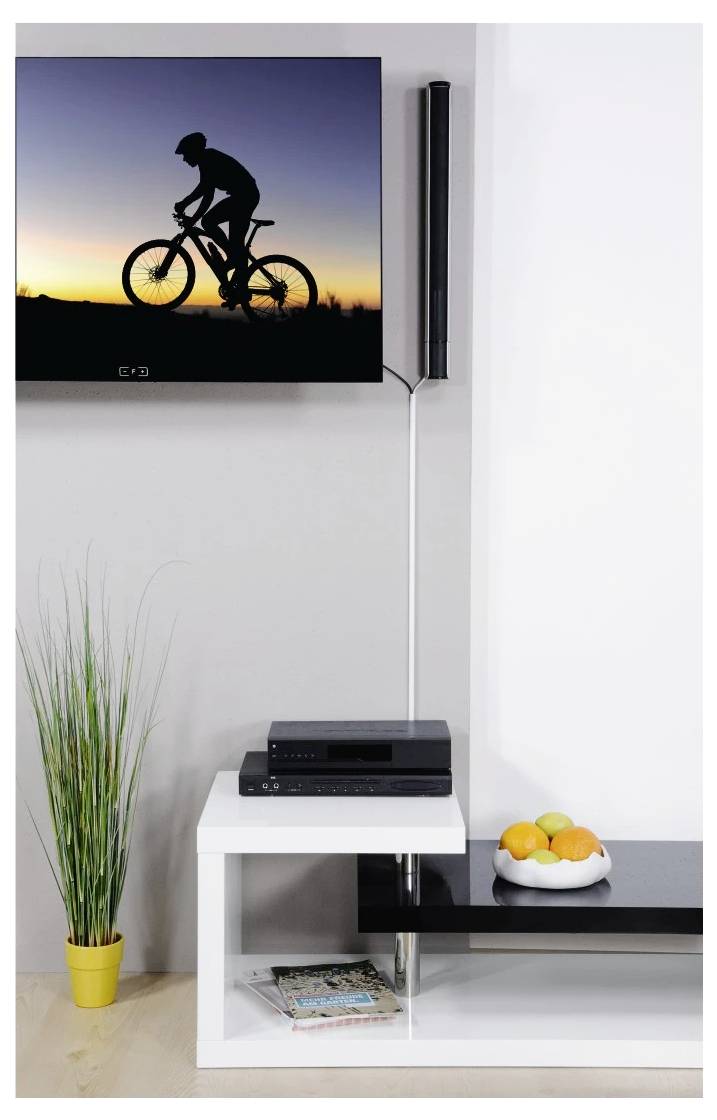Modernes Wohnzimmer mit an der Wand montiertem Fernseher, der einen Radfahrer im Silhouette bei Sonnenuntergang zeigt, einem weißen Medienständer, einem hohen Lautsprecher, einer Pflanze und einer Obstschale.