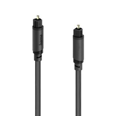 Zwei schwarze optische Audiokabel mit quadratischen TOSLINK-Steckern, aufrecht auf weißem Hintergrund dargestellt.