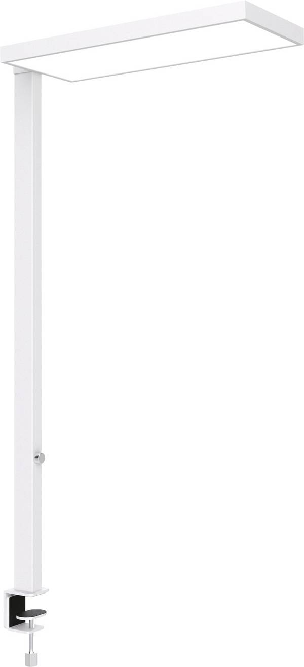 Maul MAULjura 8257202 LED-Aufbauleuchte LED    Weiß