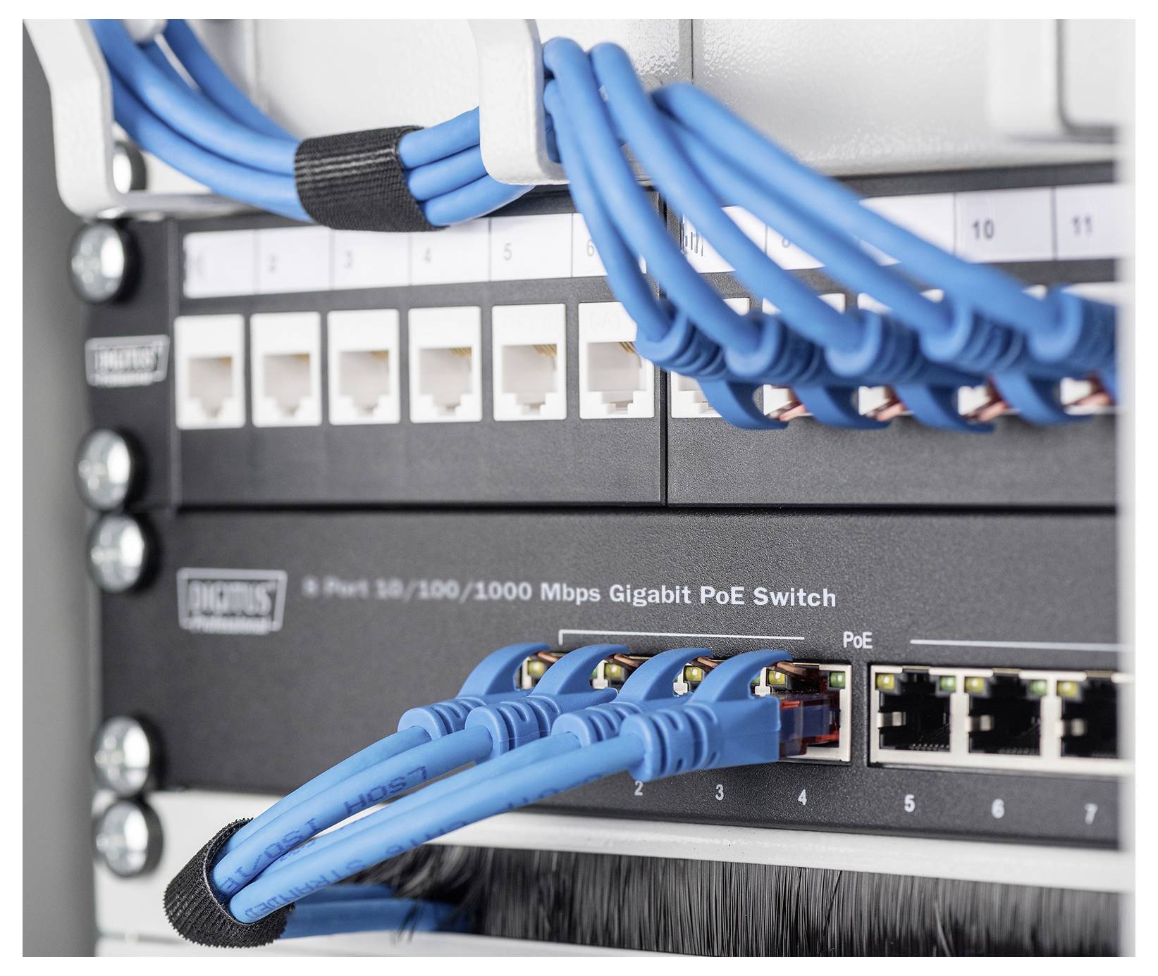 Nahaufnahme eines Netzwerk-Switches mit vielen blauen Ethernet-Kabeln, die in Anschlüsse in einem Rack-montierten Serverschrank gesteckt sind.