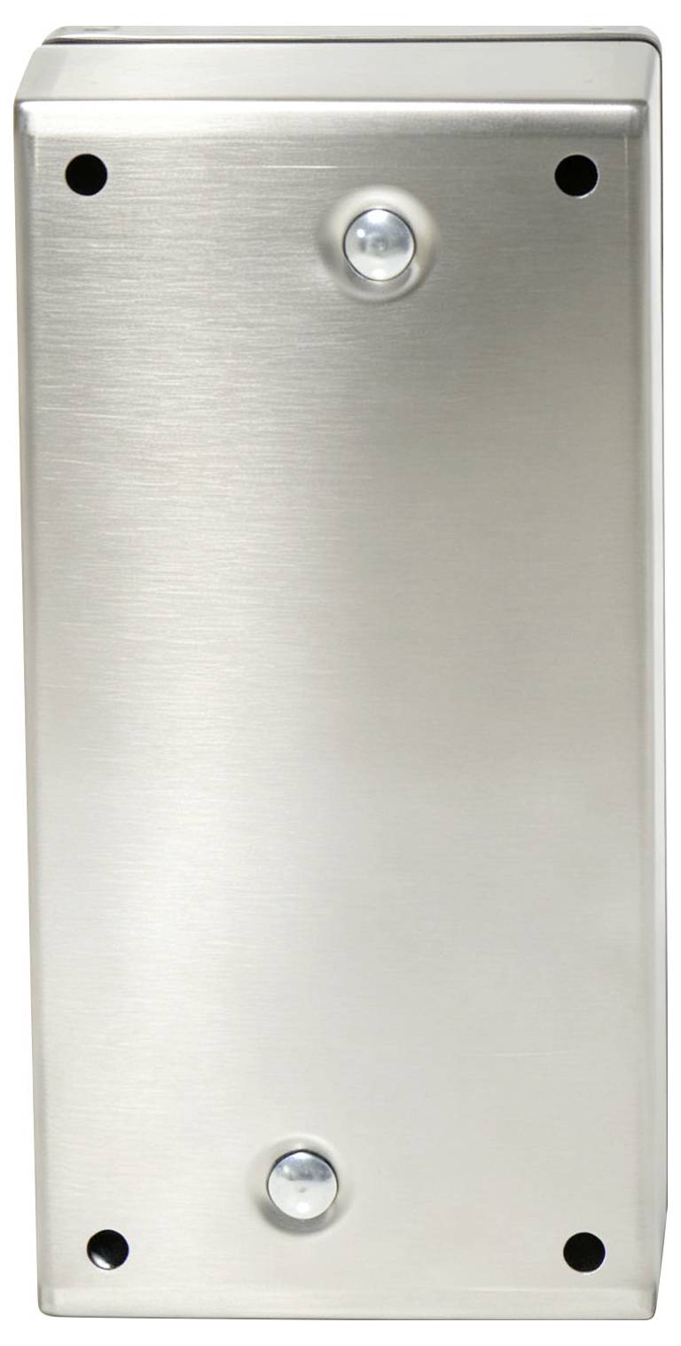 Edelstahlwandplatte mit zwei sichtbaren Schrauben und gebürsteter Metalloberfläche, wahrscheinlich eine Schutzabdeckung oder Montageplatte.