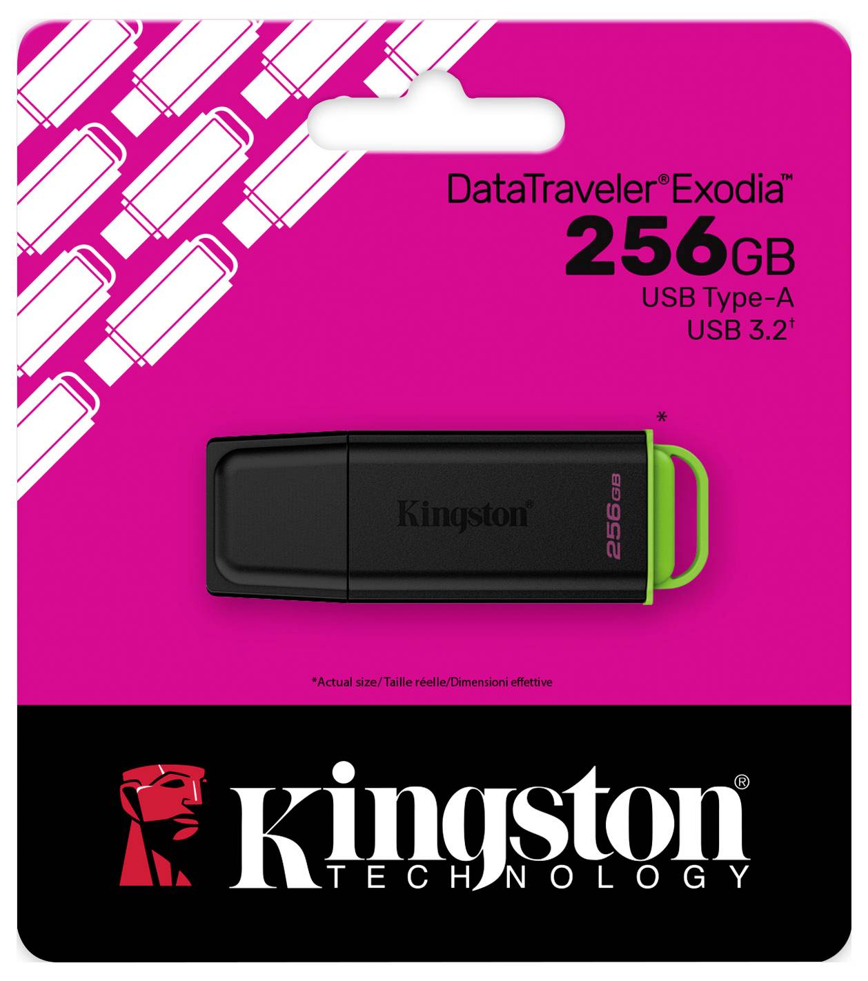 Kingston DataTraveler Exodia 256GB USB Type-A/USB 3.2 Speicherstick in einer leuchtend rosa Verpackung mit Kingston Technology Branding.
