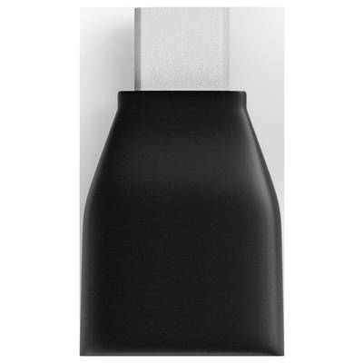 Schwarze matte Flaschenkappe oder Behälteroberseite mit weißem zylindrischen Hals vor einfachem hellem Hintergrund.
