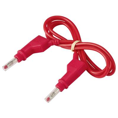 Rote Elektroprüfleitungen mit zwei isolierten Bananensteckern an einem aufgerollten Kabel, zusammengebunden mit einem kleinen Band.