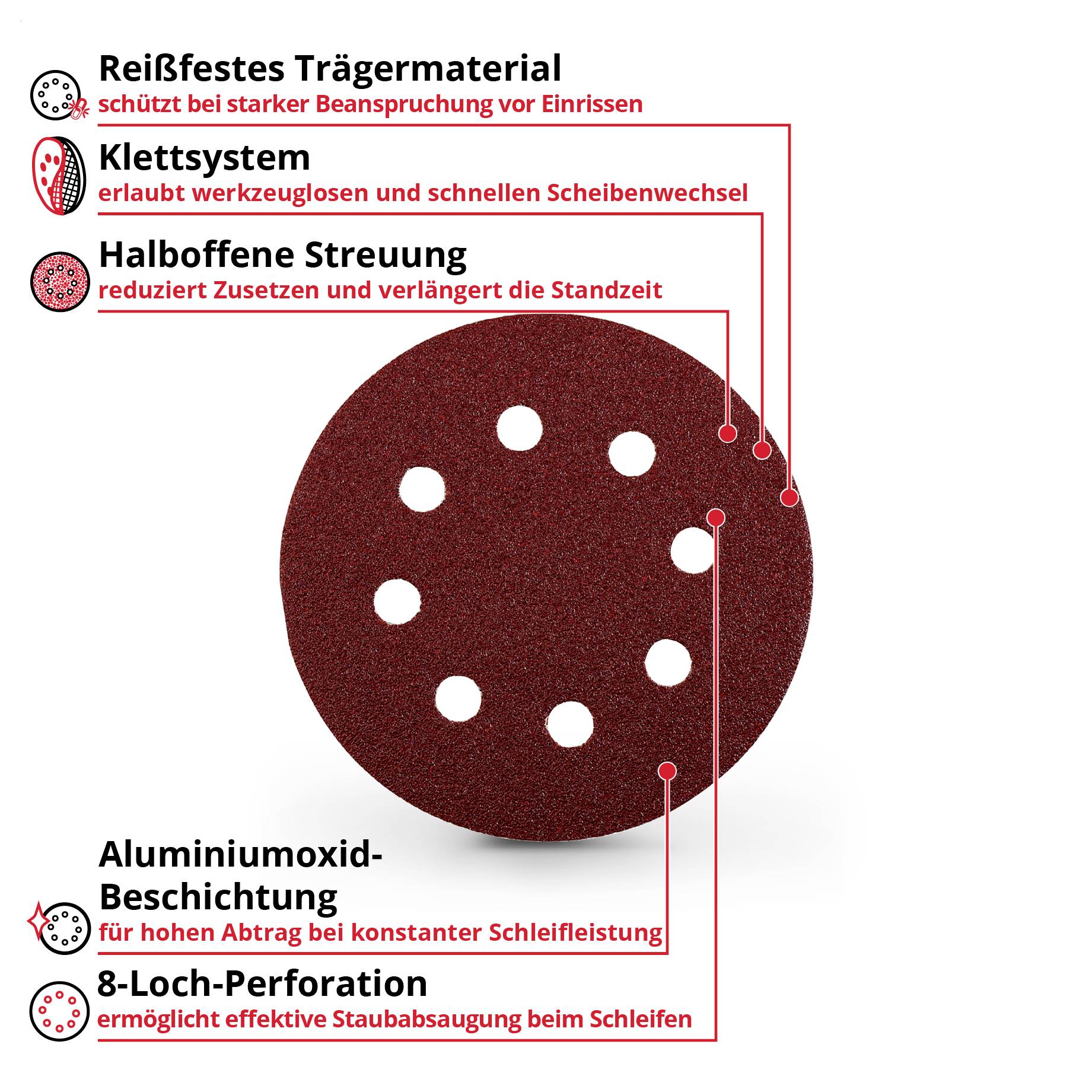 Infografik einer Schleifscheibe mit Beschriftungen: reißfestes Trägermaterial, Klettsystem, halboffene Streuung, Aluminiumoxid-Beschichtung und 8-Loch-Perforation für Staubabsaugung.