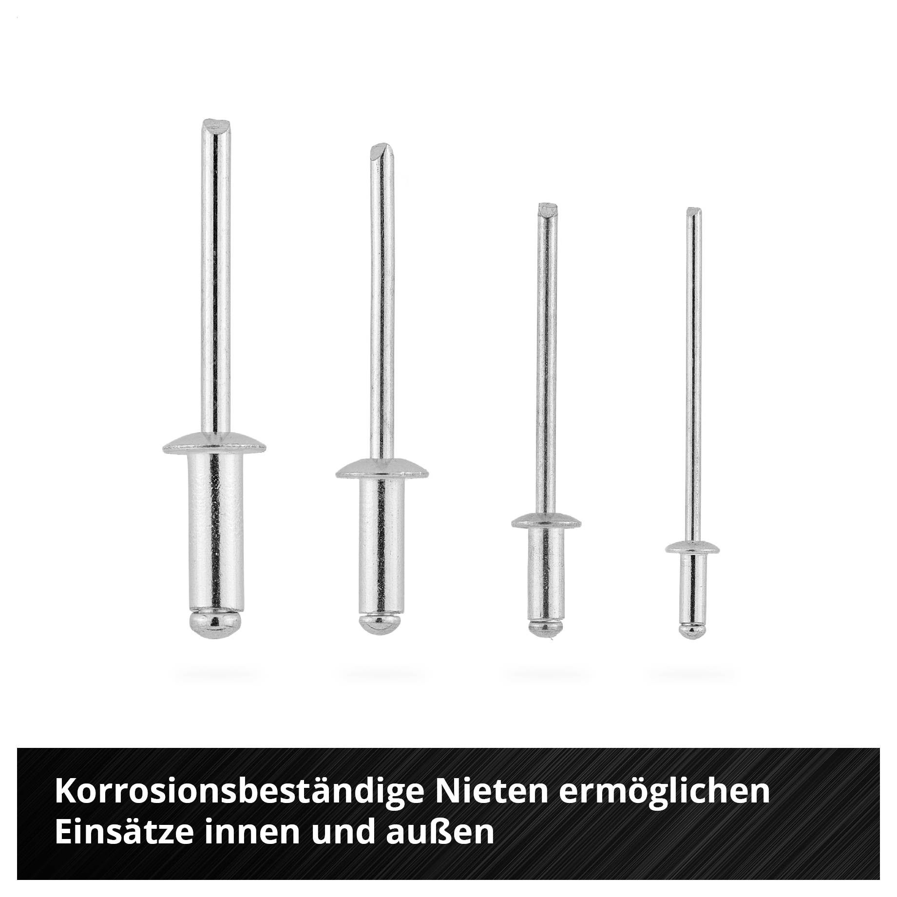 Weißer elektrischer Klemmenblock mit vier beschrifteten Schraubklemmen: S1, N, 1↓ und L↑.