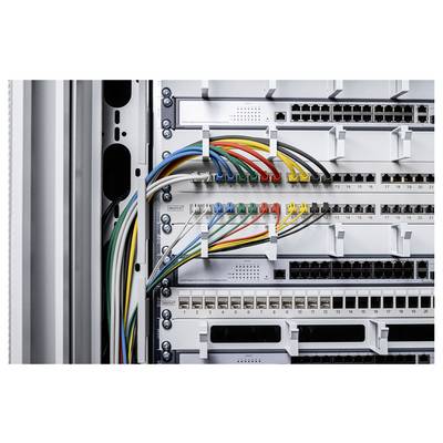 Digitus DK-1618-003S-10 RJ45 Patchkabel CAT 6 U/UTP 0.3 m Grau 10 St.-5