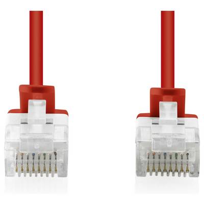 Zwei rote Ethernet-Kabelstecker nebeneinander auf weißem Hintergrund gezeigt.
