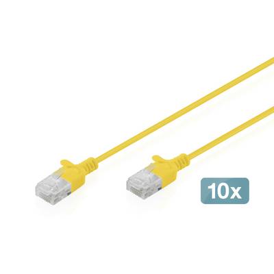 Zwei gelbe Ethernet-Kabel mit RJ45-Steckern, beschriftet mit „10x", auf weißem Hintergrund.