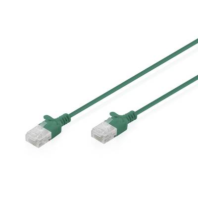 Zwei grüne Ethernet-Kabel mit transparenten RJ45-Steckern auf weißem Hintergrund.