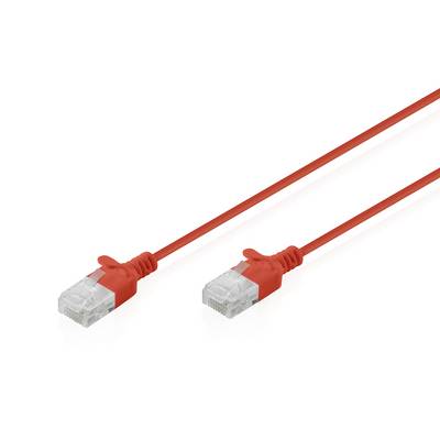 Zwei rote Ethernet-Kabel mit transparenten RJ45-Steckern auf weißem Hintergrund.