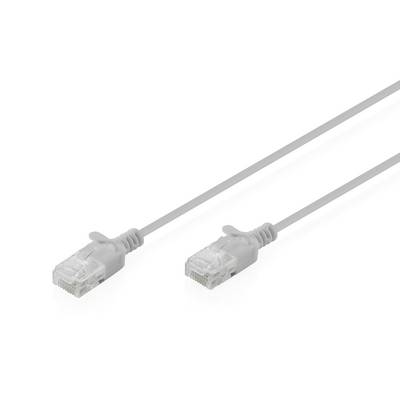 Zwei Ethernet-Kabelstecker auf grauen Netzwerkkabeln, nebeneinander auf weißem Hintergrund gezeigt.