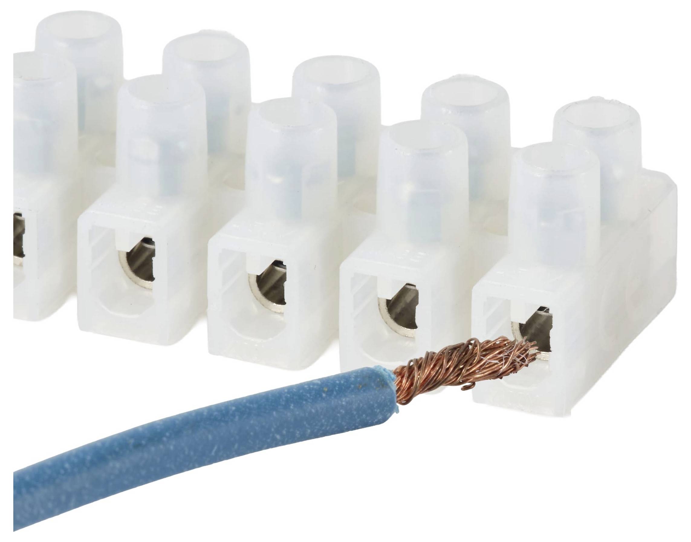 Nahaufnahme eines blauen Elektrodrahts mit freiliegendem Kupfer, das in einen weißen Kunststoff-Klemmleistenverbinder eingeführt wird.